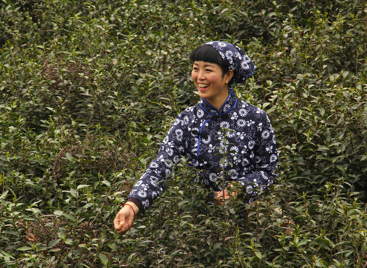 舂梦推荐8